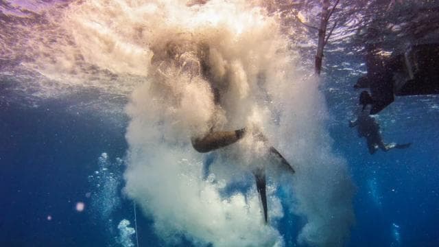 Catalina Island Scuba Diving Tour z Punta Cana — Guided tour and outdoor activity