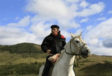From Samaná: El Limón Waterfall Horseback Ride with Lunch — Guided tour and outdoor activity