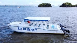 Privater Katamaran Samaná Bay – Rey De Reyes V — Guided tour and outdoor activity