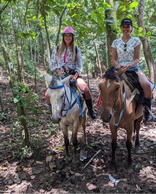 Pozorování velryb + Cayo Levantado + safari k vodopádu El Limón ze Sabana de la Mar — Guided tour and outdoor activity