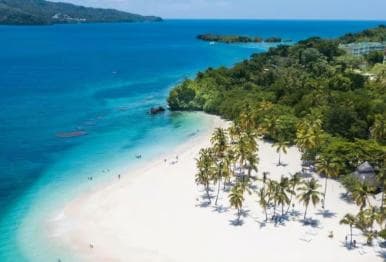 Privat: Walbeobachtungsabenteuer auf der Bacardí-Insel in Punta Cana — Guided tour and outdoor activity