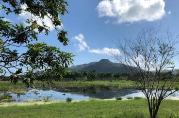 Off-Road-ATV-Abenteuer in Puerto Plata — Guided tour and outdoor activity