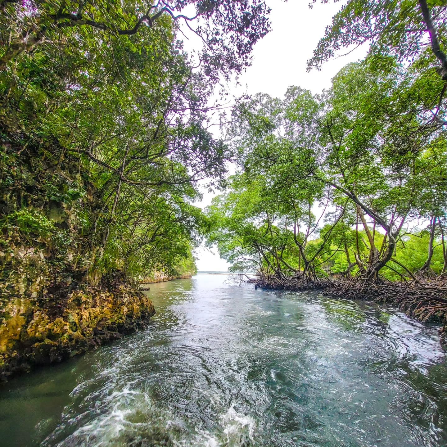 Las Galeras: Los Haitises & Cayo Levantado Tour | $79 Ecotour Adventure — Guided tour and outdoor activity
