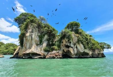 Los Haitises: Přírodní koupaliště pro pěší turistiku a jízdu na kajaku Tour & Lunch — Guided tour and outdoor activity