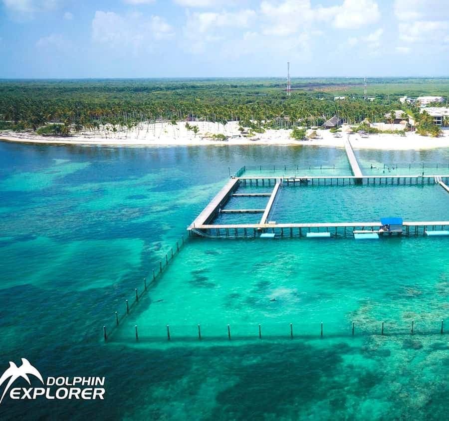 Zážitek s delfíny Punta Cana: 50 minut vodní zábavy — Guided tour and outdoor activity
