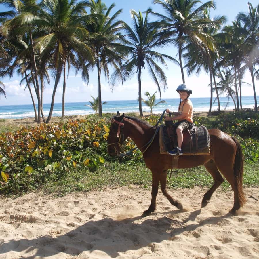 Punta Cana: Jízda na koni na pláž Macao — Guided tour and outdoor activity