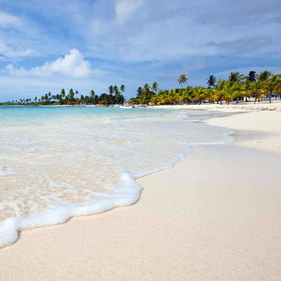 Santo Domingo: Saona Island Day Trip with Catamaran Ride — Guided tour and outdoor activity