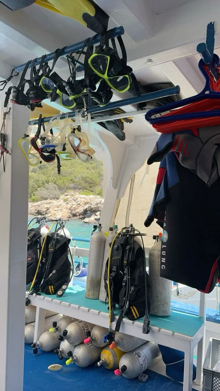 Private: Catalina Island Diving Tour with Lunch — Guided tour and outdoor activity