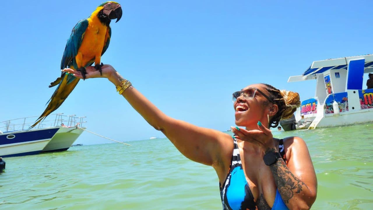PARTYBOOT MIT OFFENER BAR-KATAMARAN-KREUZFAHRT PUNTA CANA — Guided tour and outdoor activity