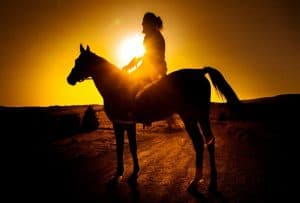 Punta Cana: Ausritt bei Sonnenuntergang am Strand und Wald von Macao — Guided tour and outdoor activity