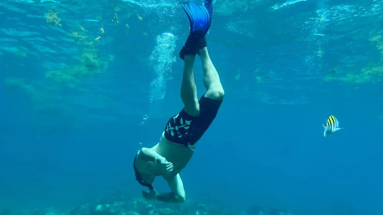 Punta Cana-Wandertour: Nisibon, Vista Alegre, Anamuya — Guided tour and outdoor activity