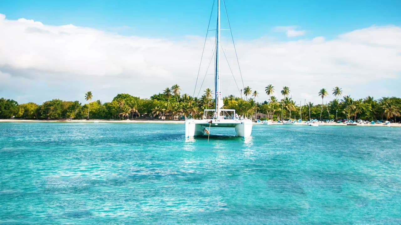 Saona Island Private: Výlet motorovým člunem z Punta Cana — Guided tour and outdoor activity