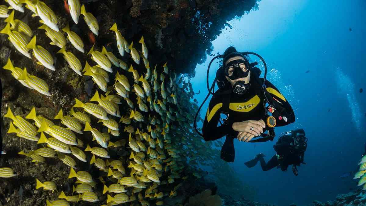 Bayahibe - potápění Cenotes — Guided tour and outdoor activity