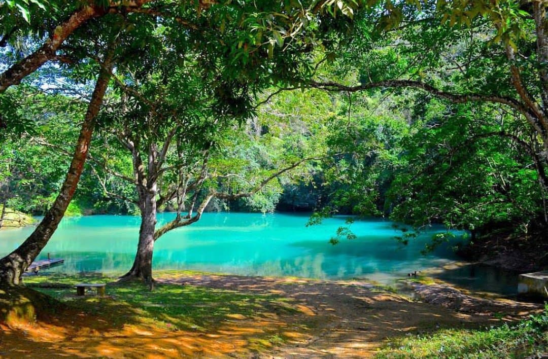 5 Best Miches Tours for Adventure Lovers