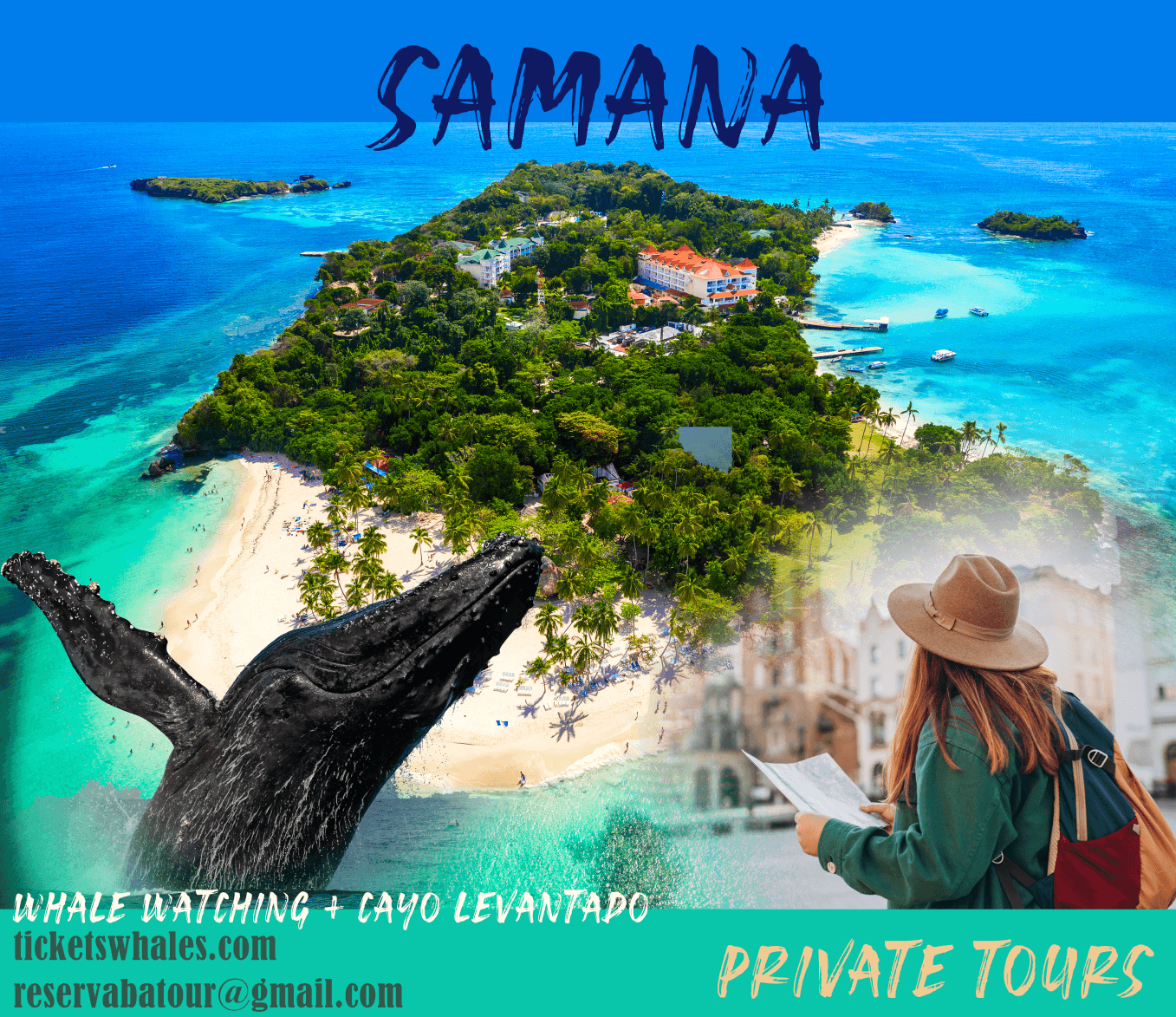 Whale Watching in the Dominican Republic: Complete 2027 Guide